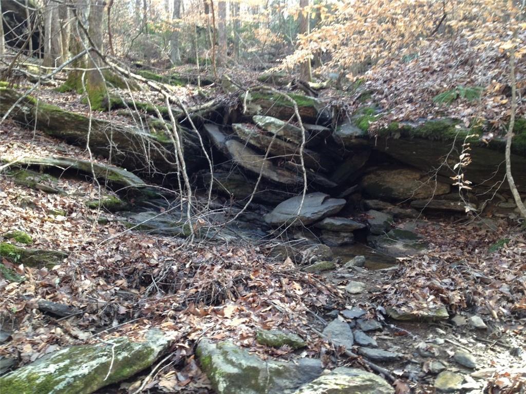 1252 Paris Mountain Road Rockmart, GA 30153 - Photo 89 of 93 a view of a yard with plants and large trees