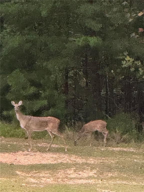 1252 Paris Mountain Road Rockmart, GA 30153 - Photo 91 of 93