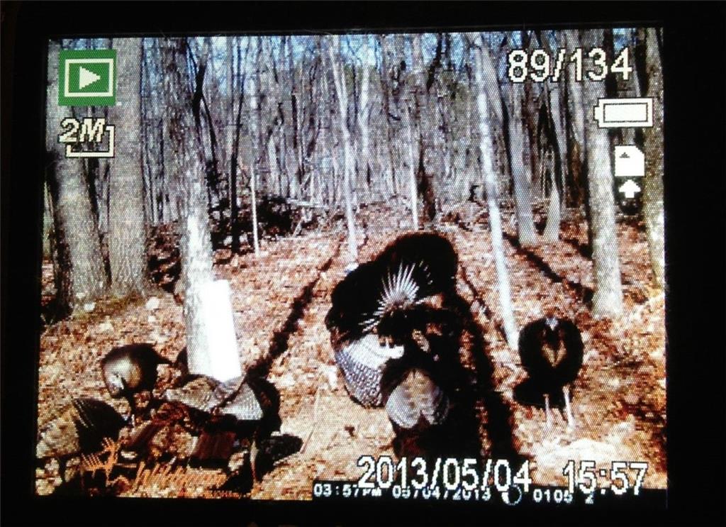 1252 Paris Mountain Road Rockmart, GA 30153 - Photo 92 of 93