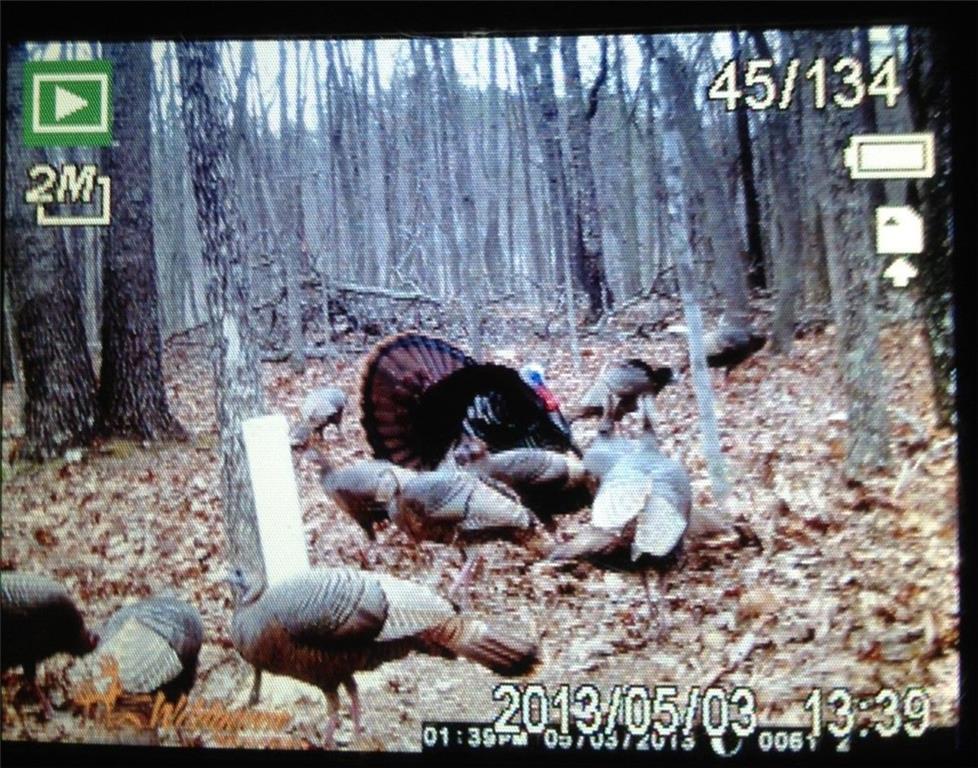 1252 Paris Mountain Road Rockmart, GA 30153 - Photo 93 of 93