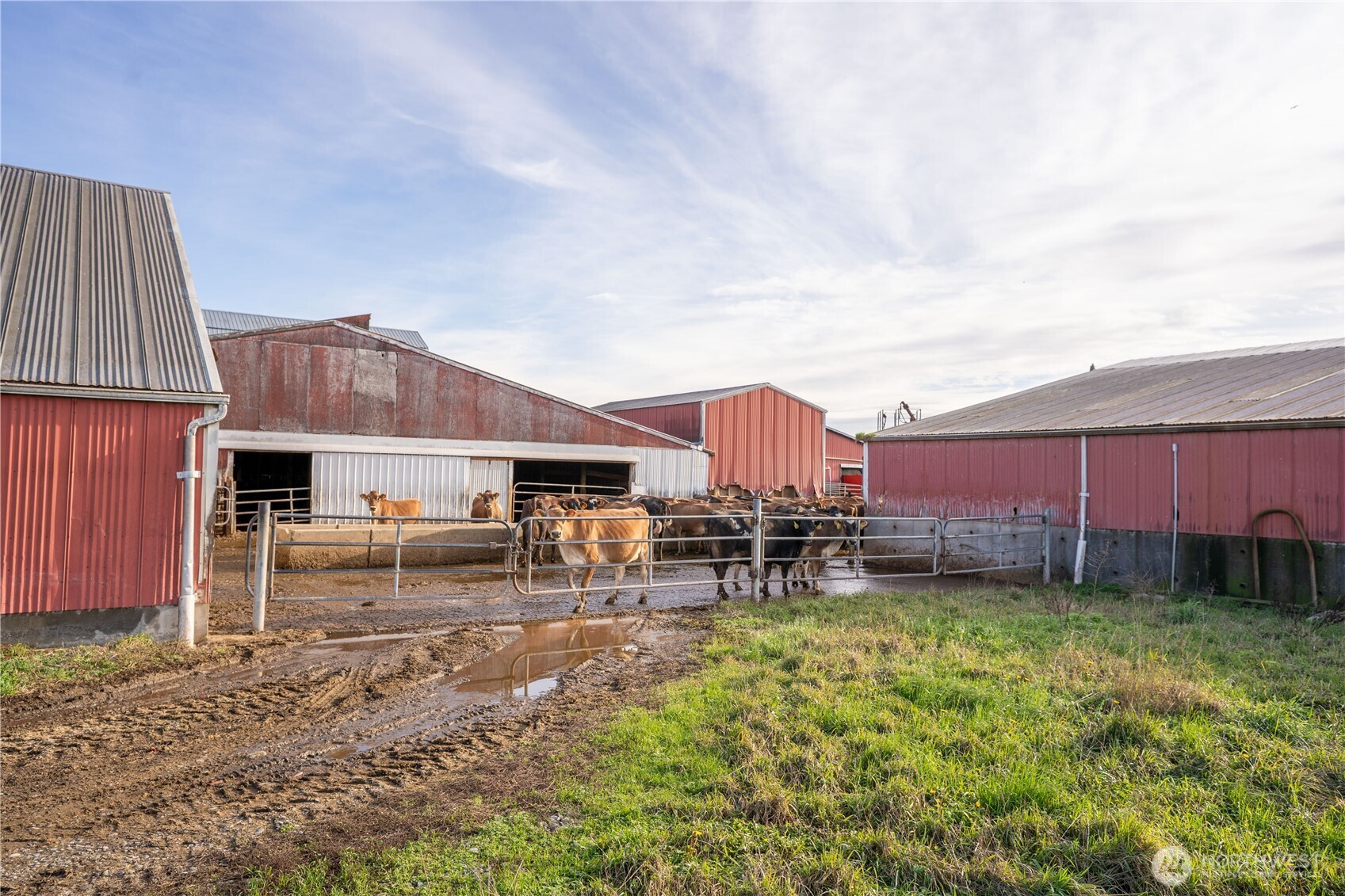 1925 Hampton Road Everson, WA 98247 - Photo 28 of 40 a view of a house with backyard and sitting area