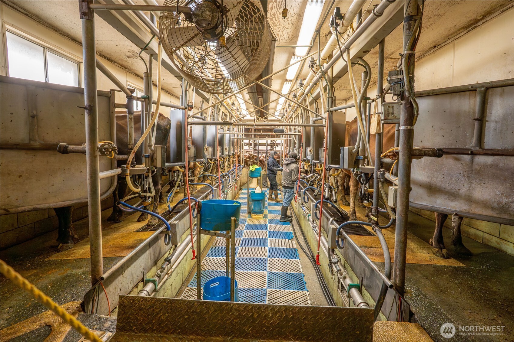 1925 Hampton Road Everson, WA 98247 - Photo 36 of 40 a view of outdoor space