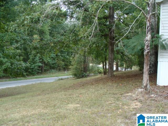 10420 Bishop Ridge West Blocton, AL 35184 - Photo 30 of 31