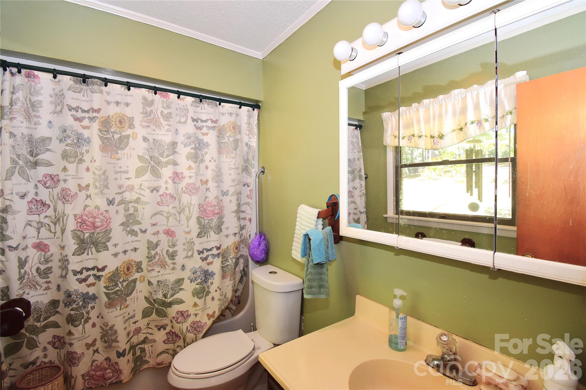 39 Maynard Road Candler, NC 28715 - Photo 14 of 43 Gallery Image 14