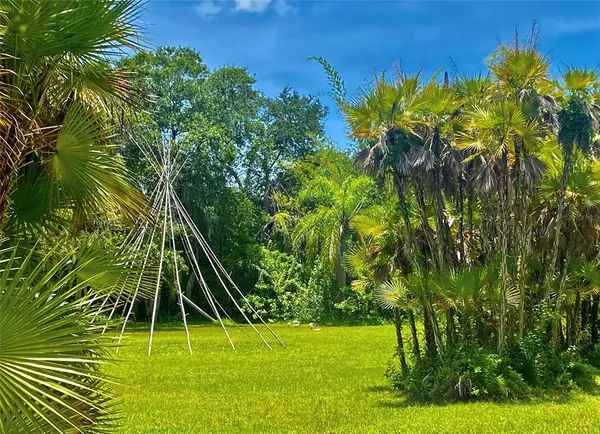 a view of a big yard with a small plants