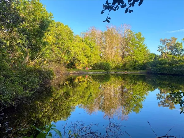 a view of lake