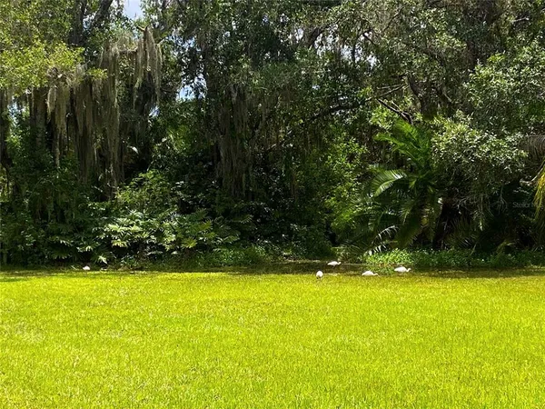 a view of yard with swimming pool and trees