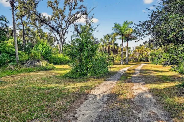 a view of yard with green space