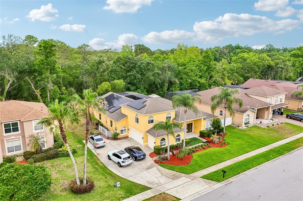 1344 Tall Maple Loop Oviedo, FL 32765 - Photo 31 of 36