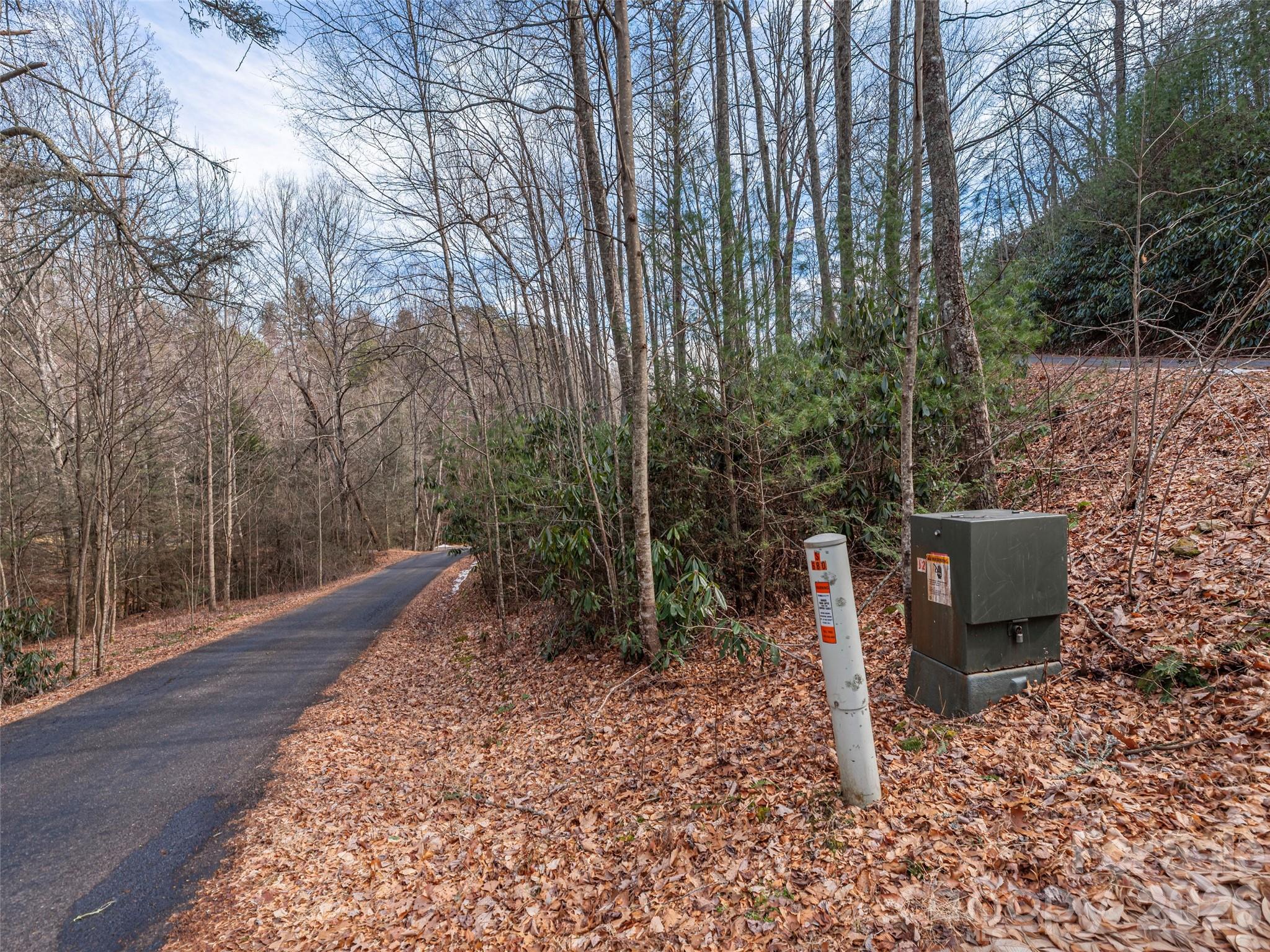 0 Coyote Hollow Road Waynesville, NC 28785 - Photo 5 of 12