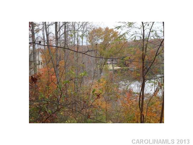 29002 Windjammer Drive Tega Cay, SC 29708 - Photo 3 of 7 Gallery Image 3