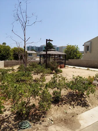 a view of a yard with wooden fence