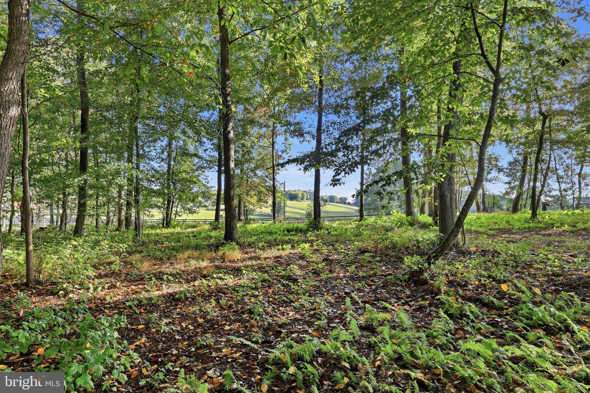 West McKinley Road Delta, PA 17314 - Photo 12 of 27 Gallery Image 12