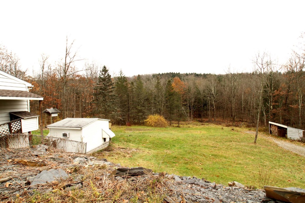 1331 Dunham Hill Road Nanticoke, NY 13905 - Photo 41 of 47 Gallery Image 41