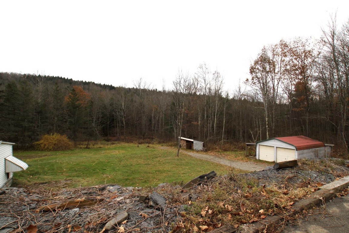 1331 Dunham Hill Road Nanticoke, NY 13905 - Photo 42 of 47 Gallery Image 42
