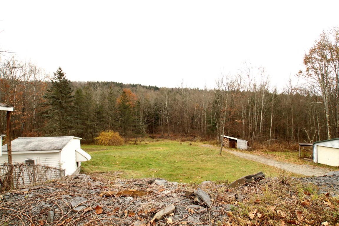 1331 Dunham Hill Road Nanticoke, NY 13905 - Photo 43 of 47 Gallery Image 43