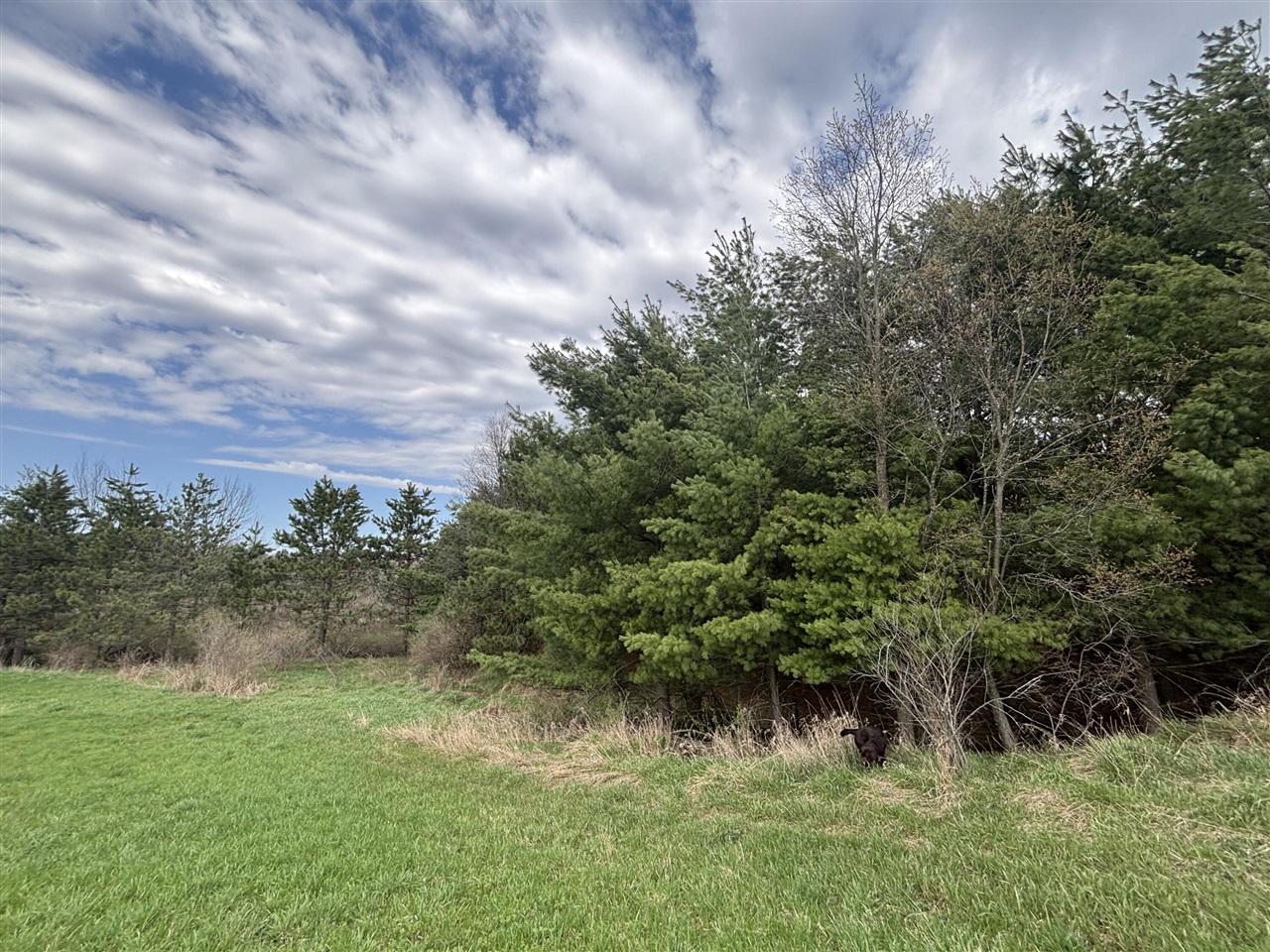 8.5 A 18 Mile Road Morley, MI 49336 - Photo 11 of 23