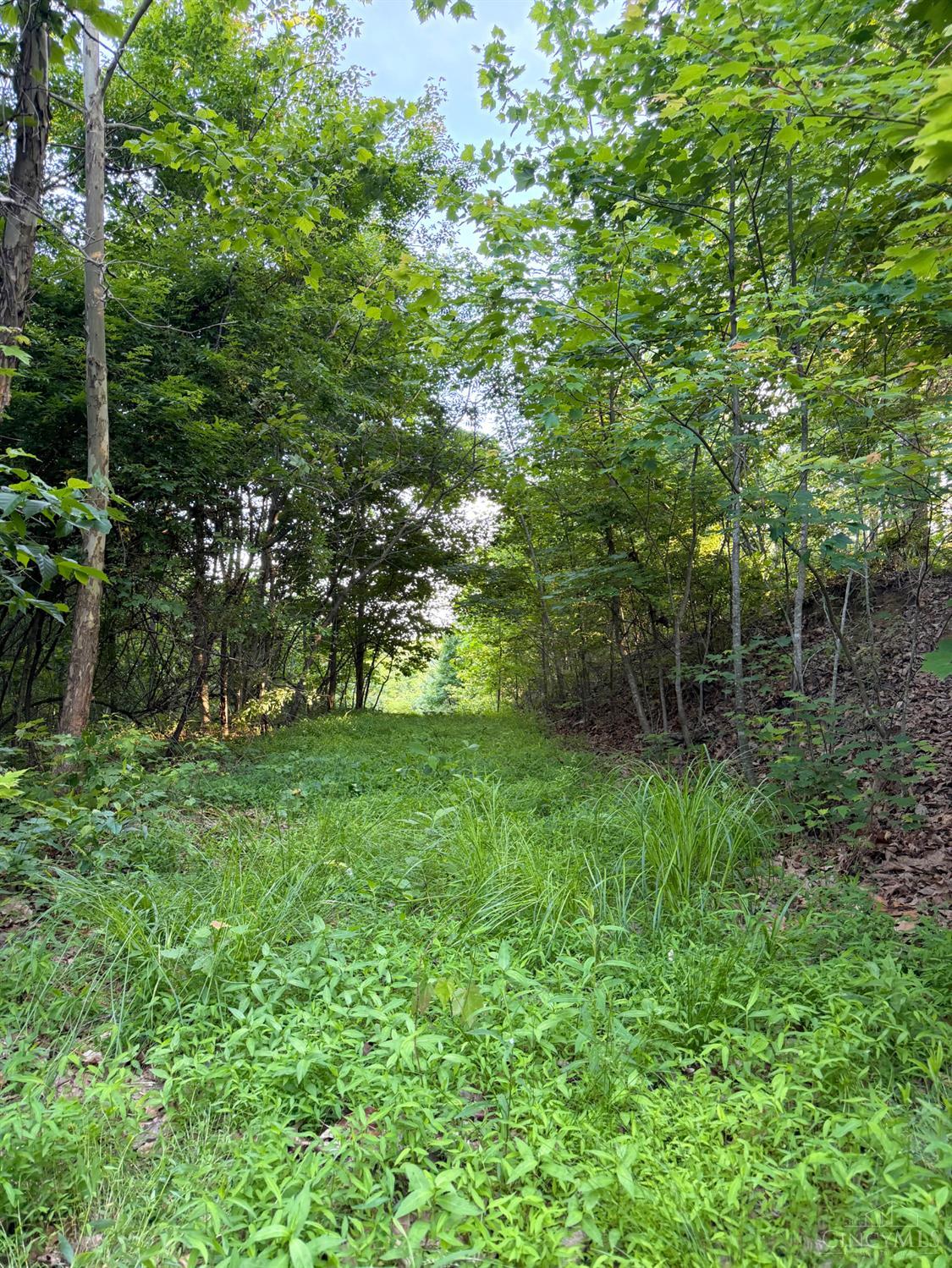 0 Lick Run-Lyra Road South Webster, OH 45682 - Photo 42 of 99 Gallery Image 42