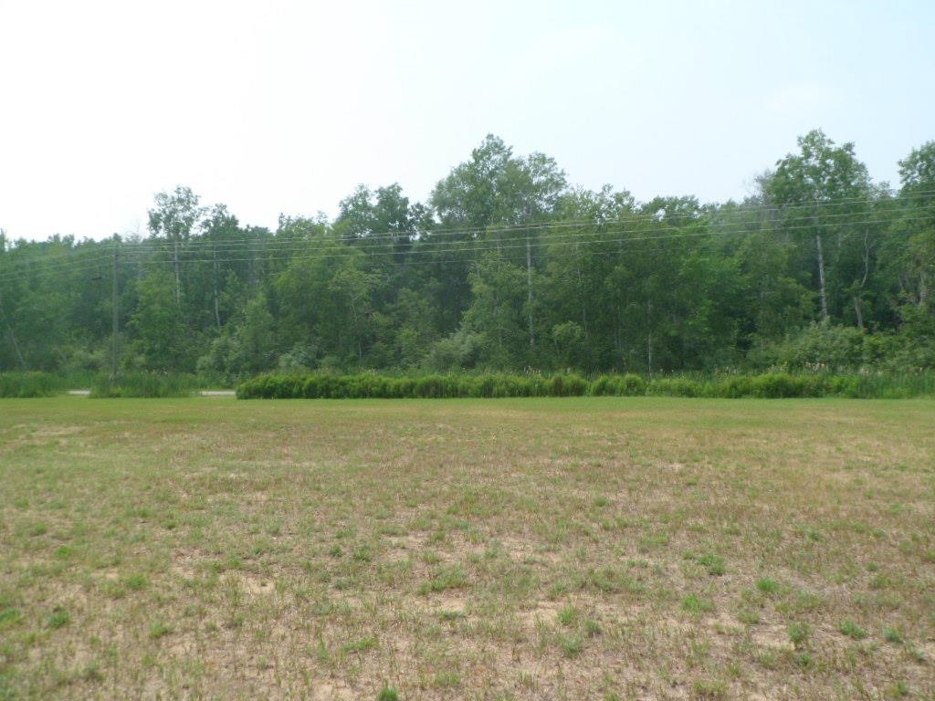Tbd South Rolland Road, Unit LOT 3 Weidman, MI 48893 - Photo 3 of 12