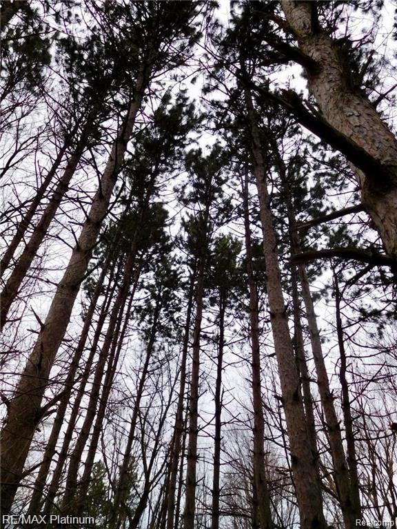 0 West Buno Road Milford, MI 48381 - Photo 28 of 28