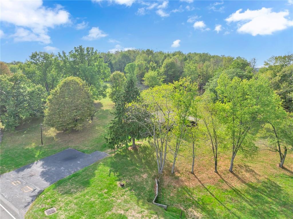 136 Kelley Road Industry, PA 15052 - Photo 20 of 35 a view of a yard with plants and a large tree