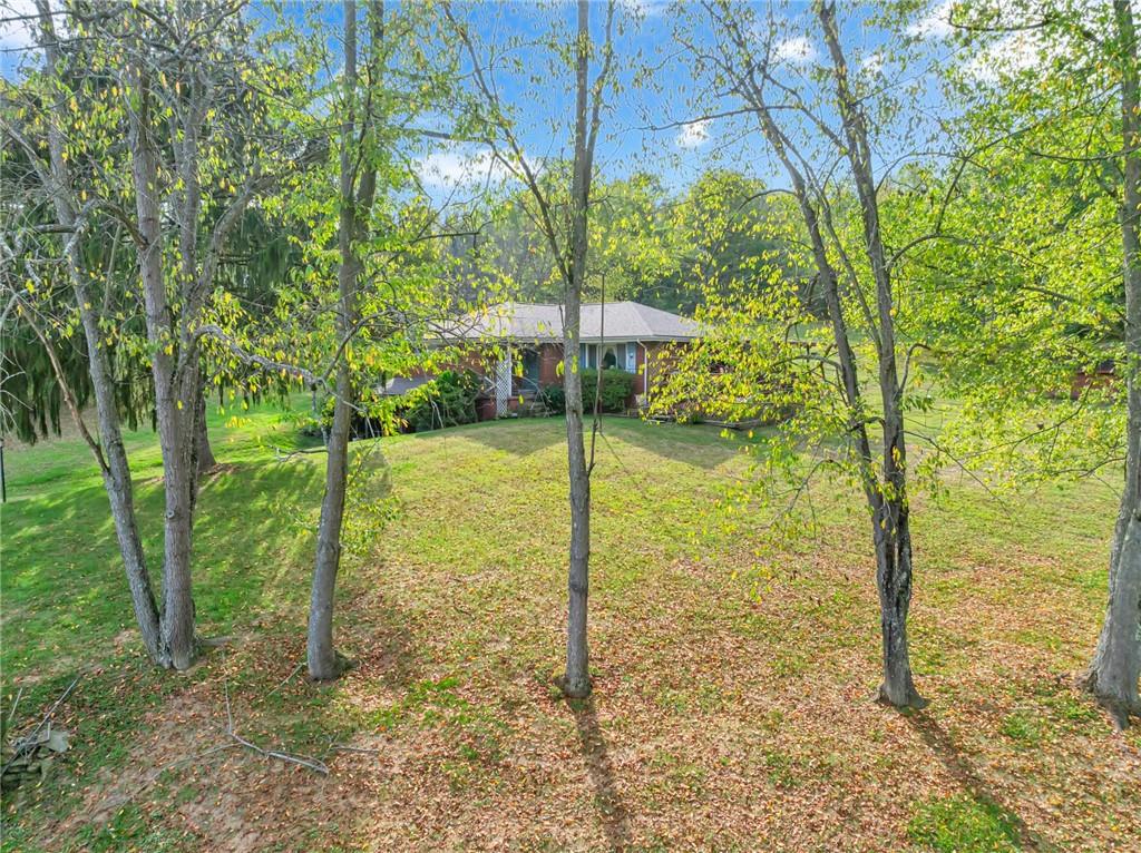136 Kelley Road Industry, PA 15052 - Photo 23 of 35 a view of a garden with a tree
