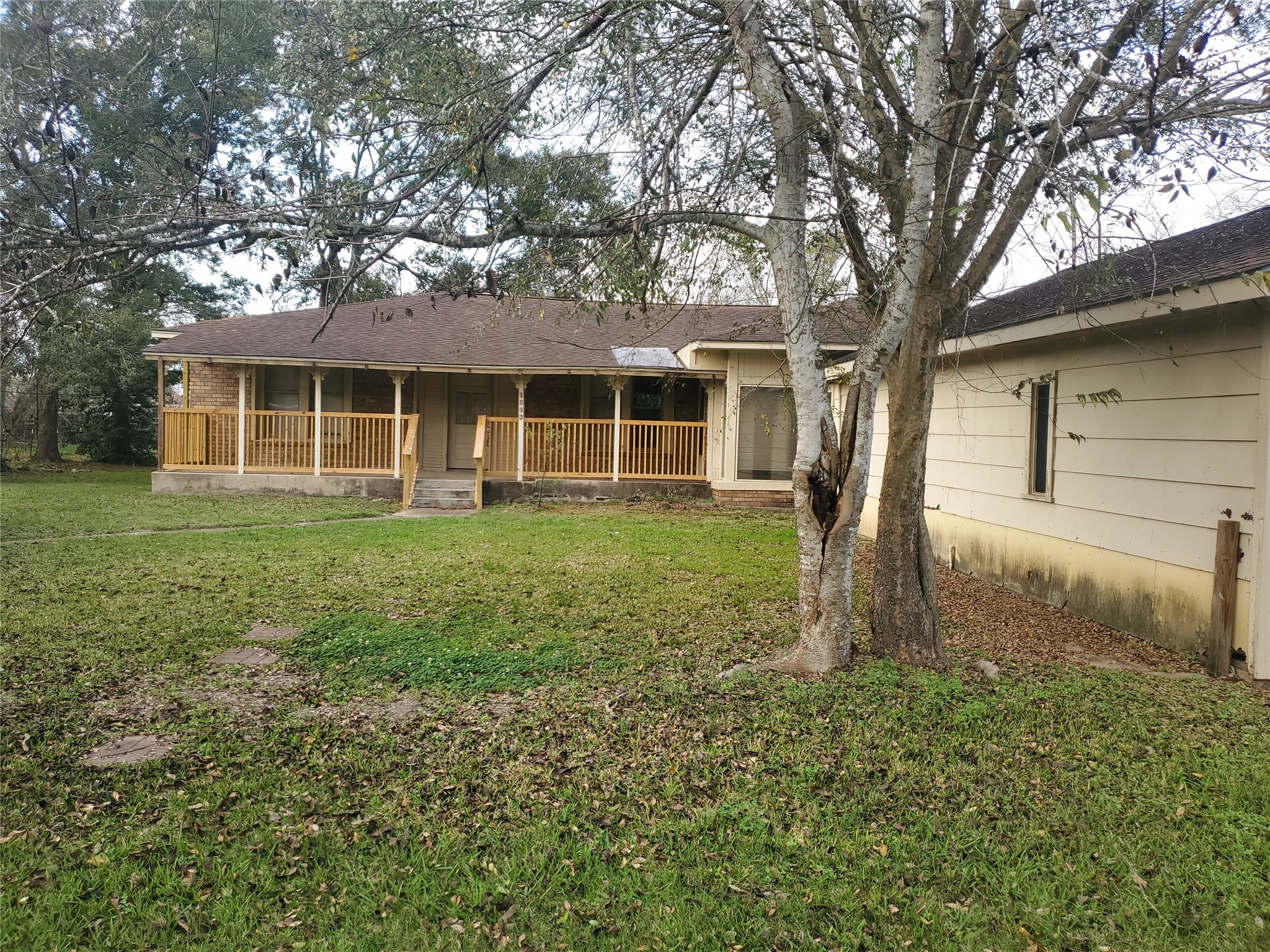 a backyard of a house with plants and large tree