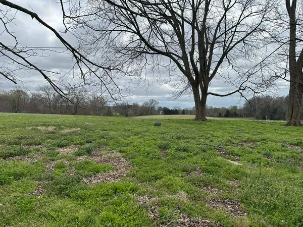 a view of a field with tree s