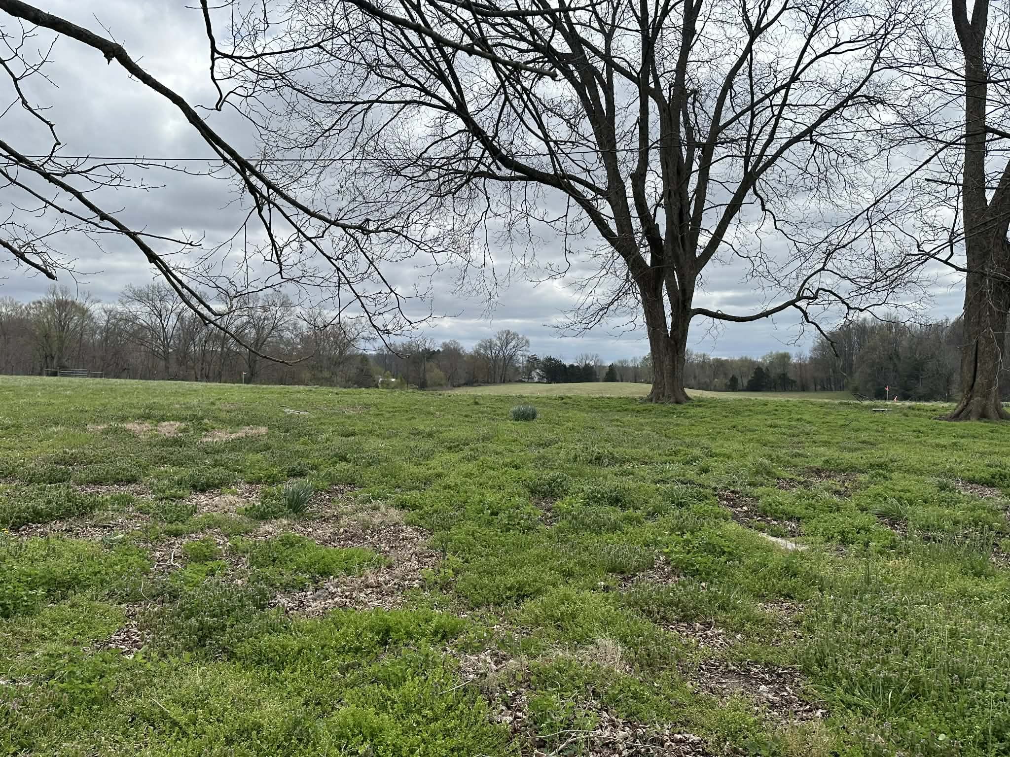 0 Upper Hilham Road Livingston, TN 38570 - Photo 1 of 3 a view of a field with tree s