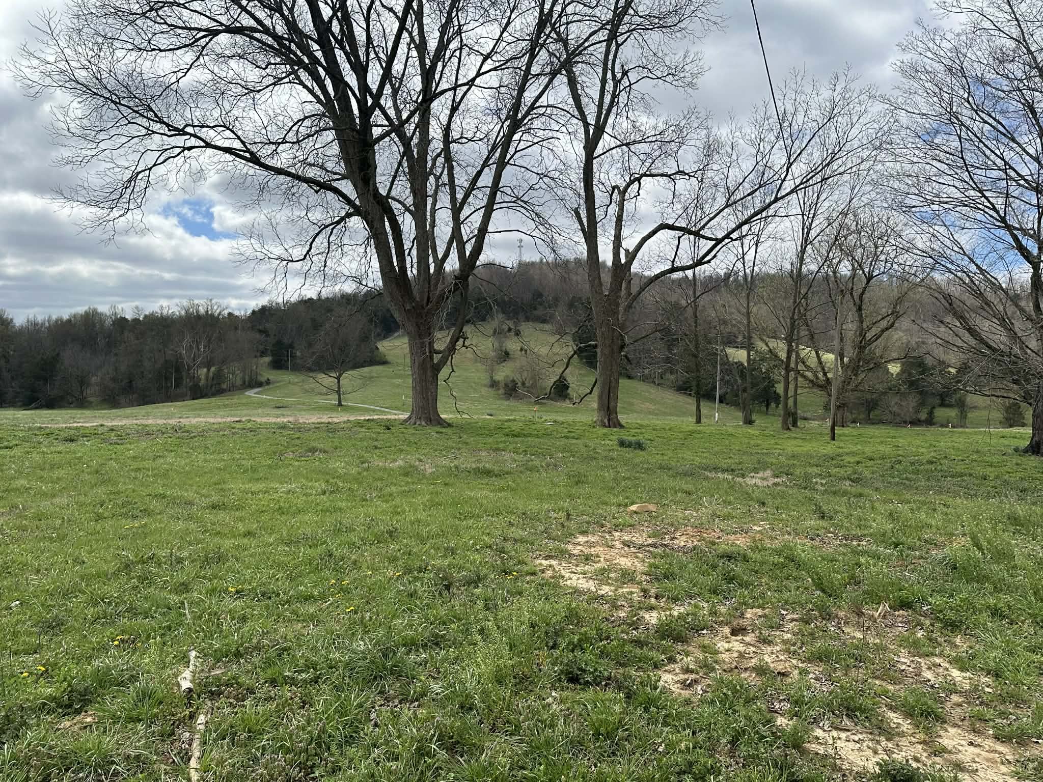 0 Upper Hilham Road Livingston, TN 38570 - Photo 2 of 3 a view of outdoor space with green field and trees