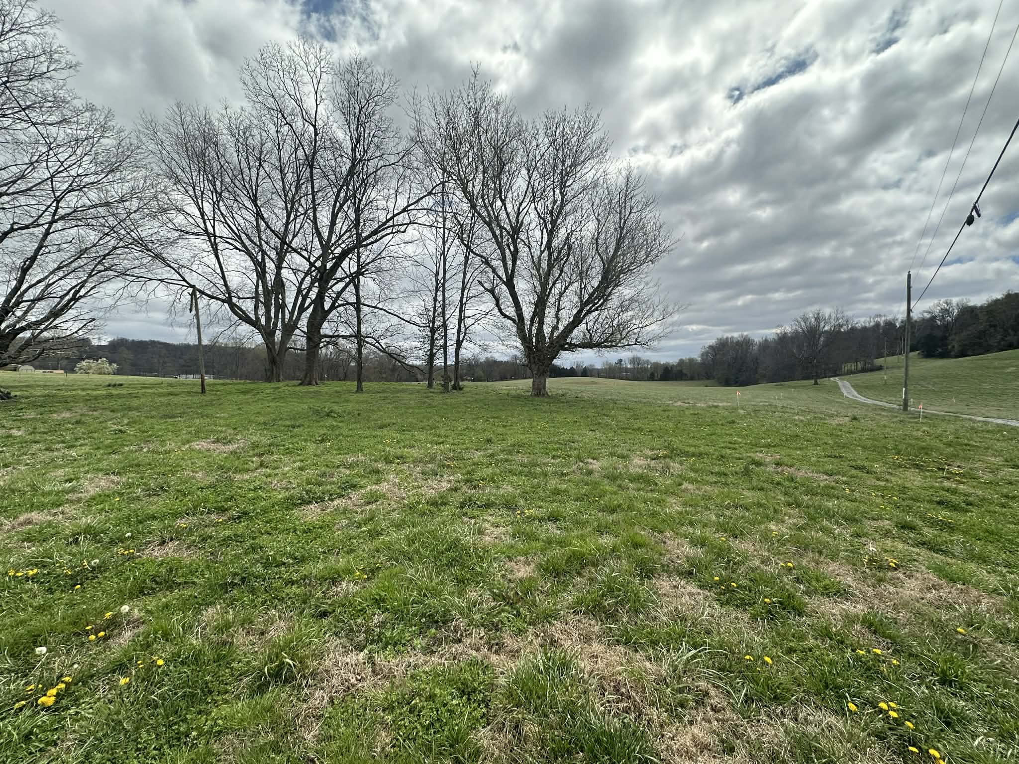 0 Upper Hilham Road Livingston, TN 38570 - Photo 3 of 3 a view of a field with a tree