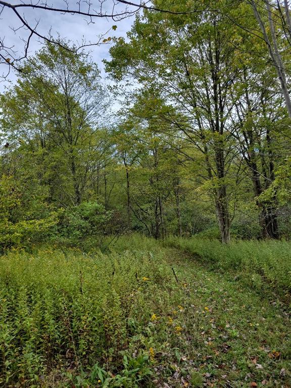 0 Barn Swallow Road Somerset, PA 15501 - Photo 16 of 18 Gallery Image 16