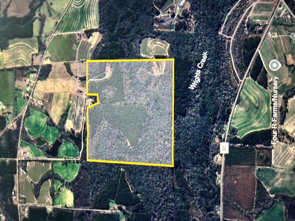 923 Lakeview Road Slocomb, AL 36375 - Photo 8 of 45