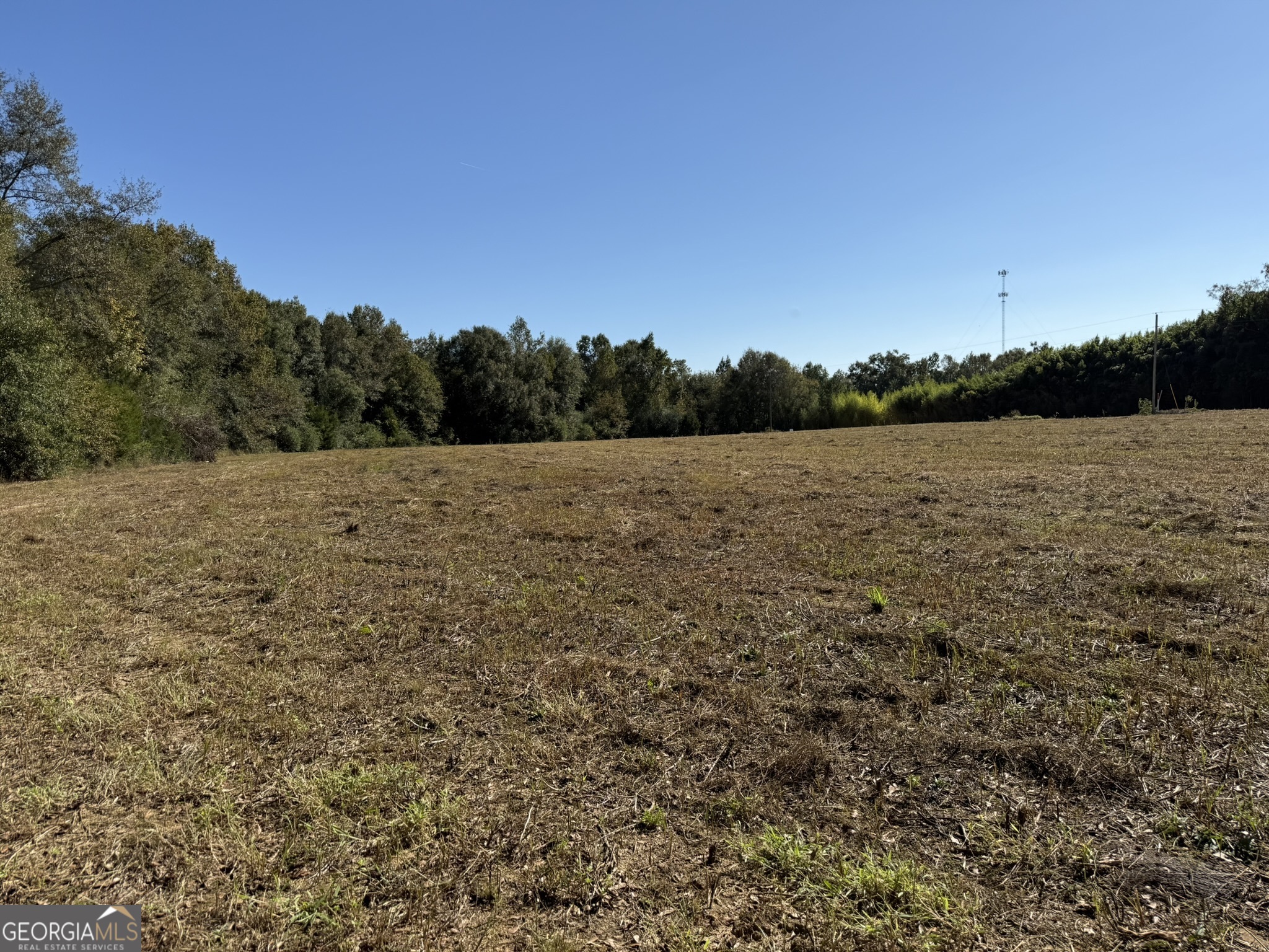 6 H Wallace Buie Road Webb, AL 36376 - Photo 5 of 8