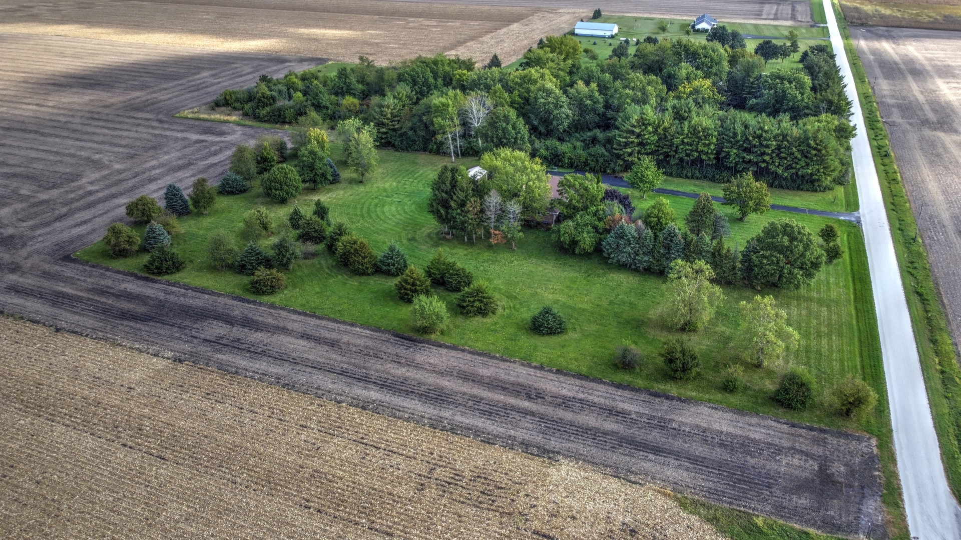 1950 Scully Road Dwight, IL 60420 - Photo 11 of 15 a view of a garden with a pathway