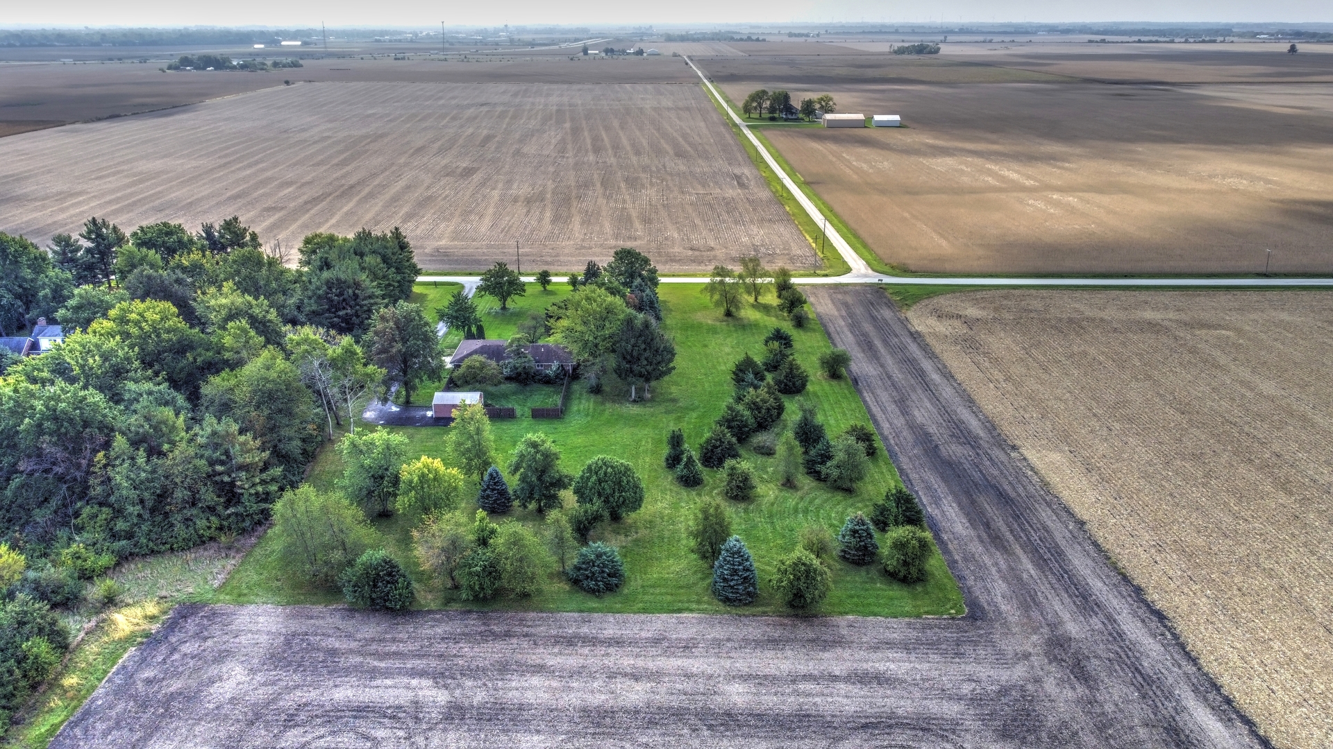 1950 Scully Road Dwight, IL 60420 - Photo 13 of 15 a view of a yard with plants