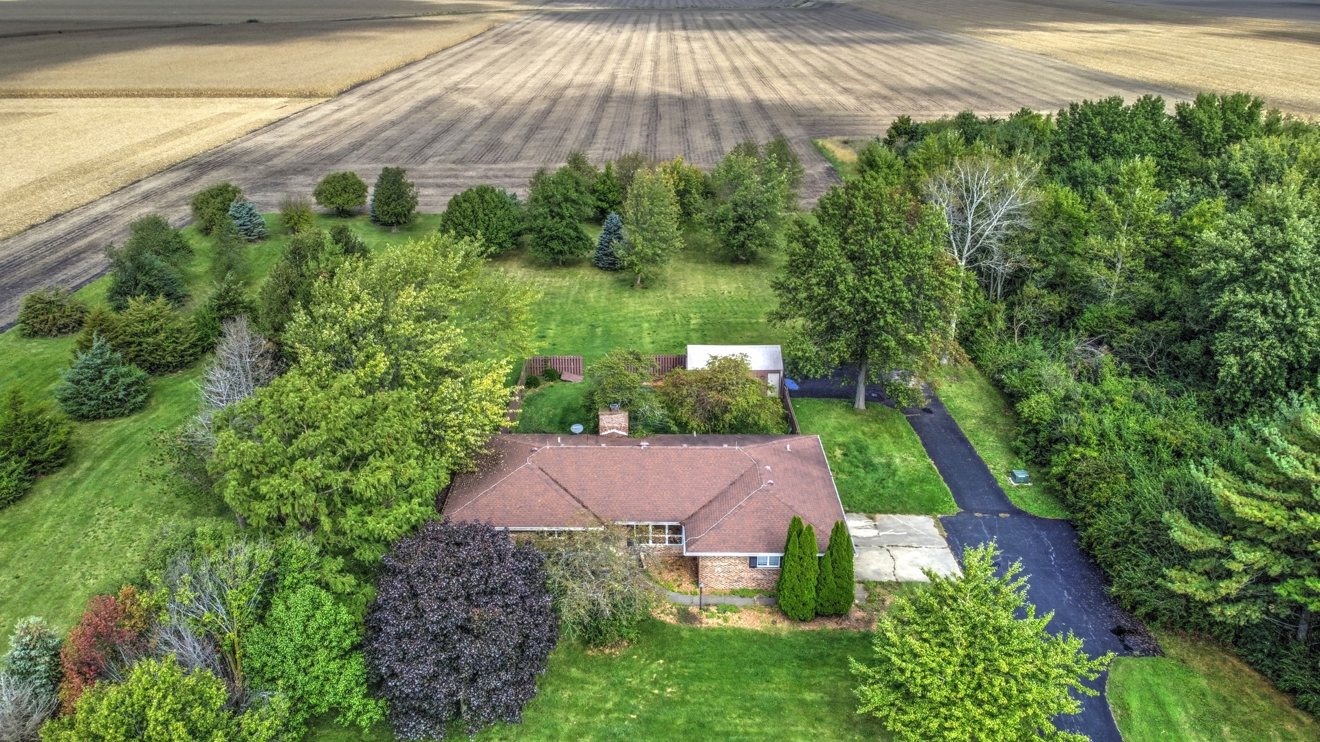 1950 Scully Road Dwight, IL 60420 - Photo 4 of 15 a view of yard with green space