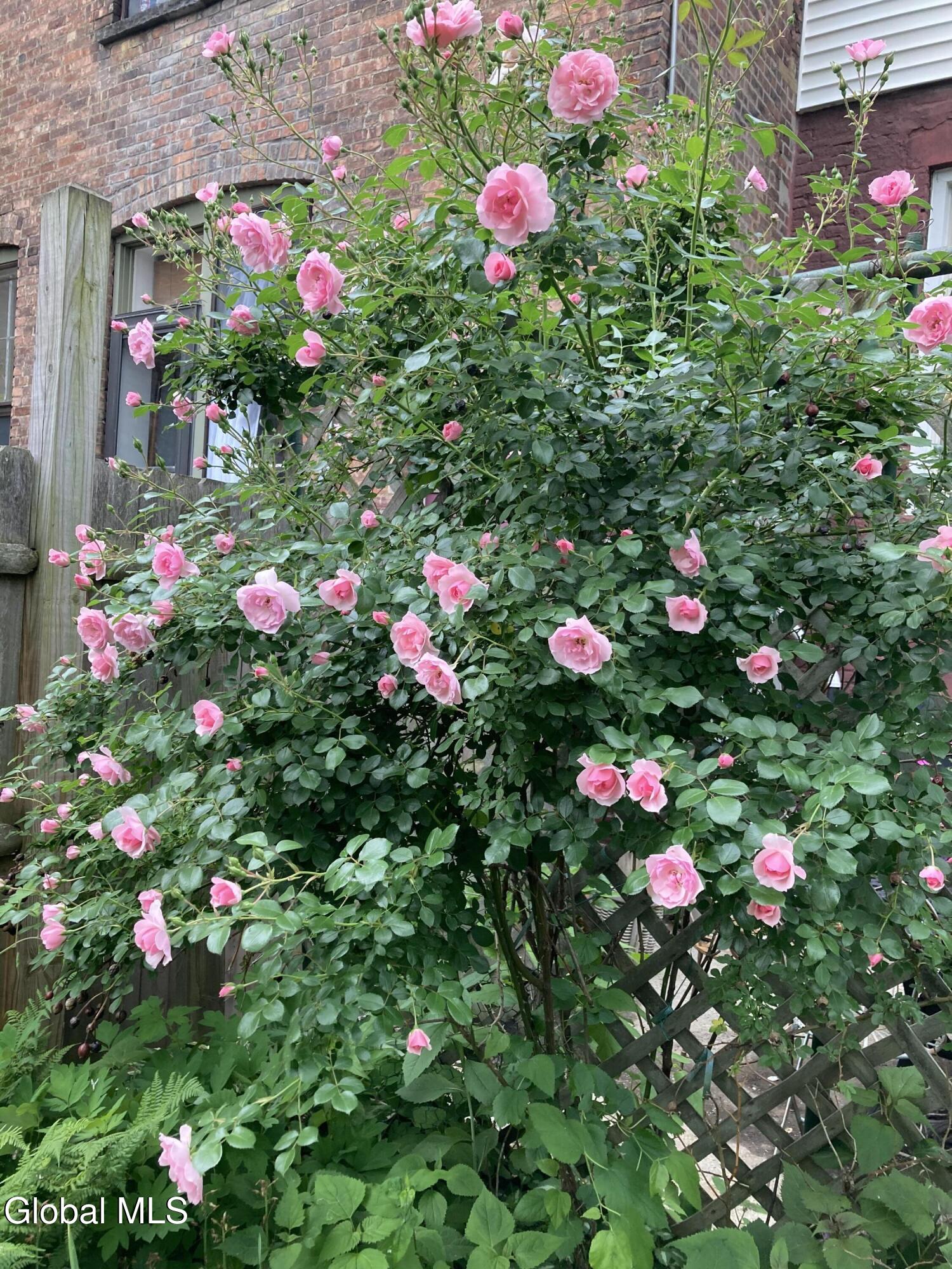 162 4th Street, Unit 2 Troy, NY 12180 - Photo 20 of 23 S