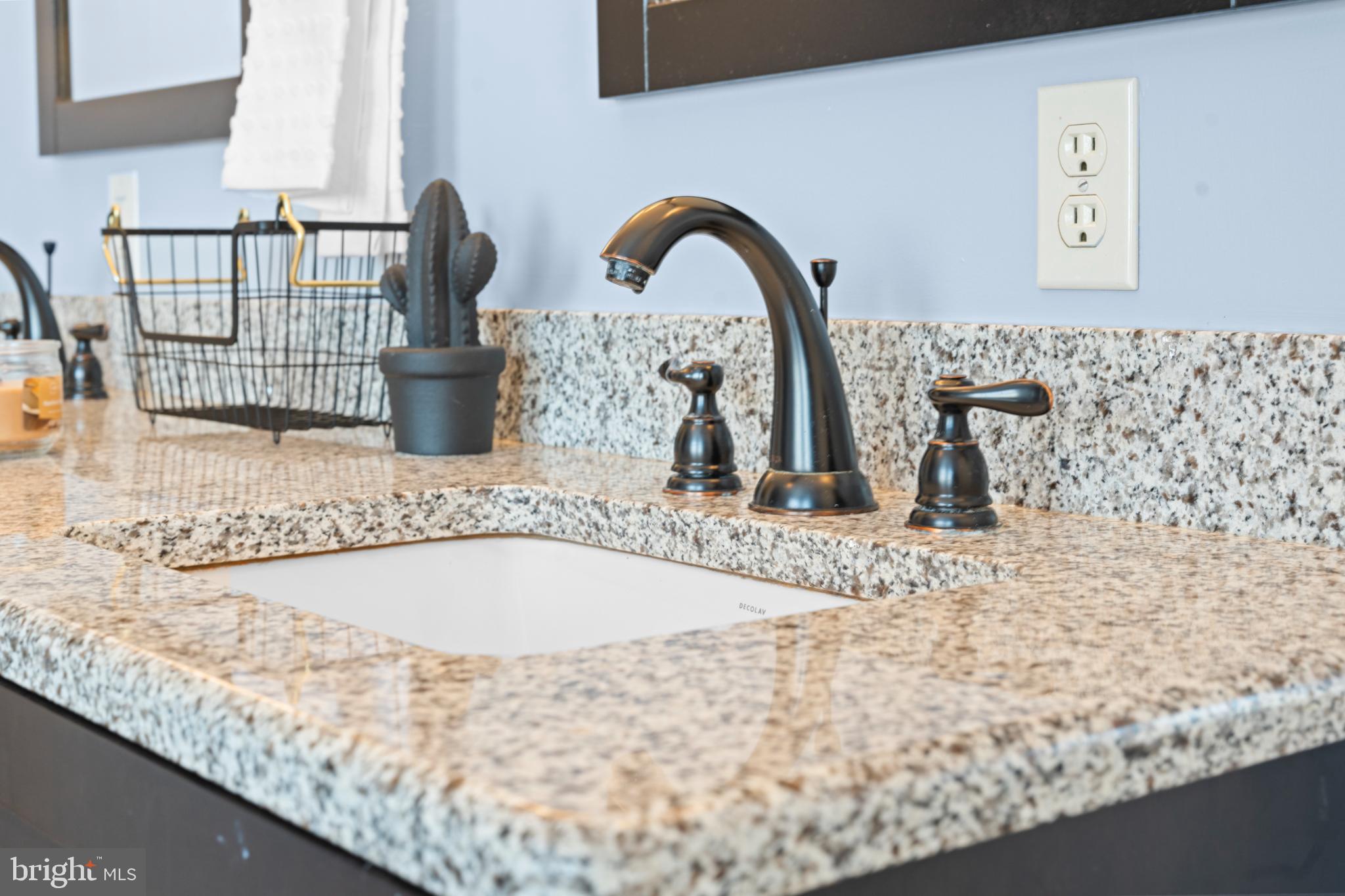 229 Cochise Trail Lock Haven, PA 17745 - Photo 24 of 48 Elegant granite countertop with stylish fixtures.