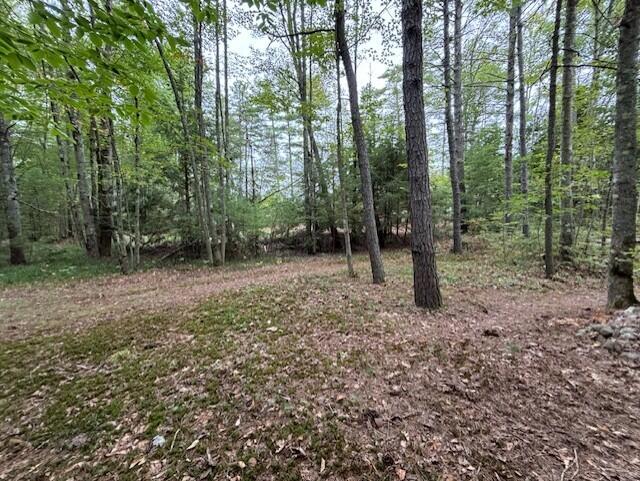 517 Pequawket Lake Road Limington, ME 04049 - Photo 33 of 33 Yard