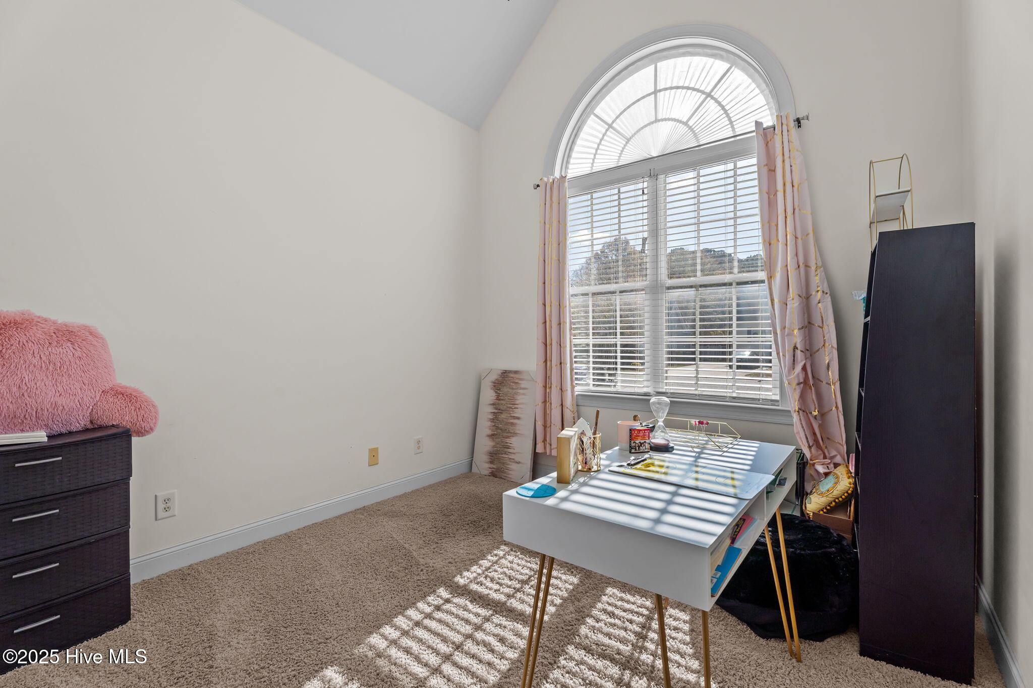 5317 Solaris Drive Wilson, NC 27896 - Photo 40 of 45 42-web-or-mls-DSC05989