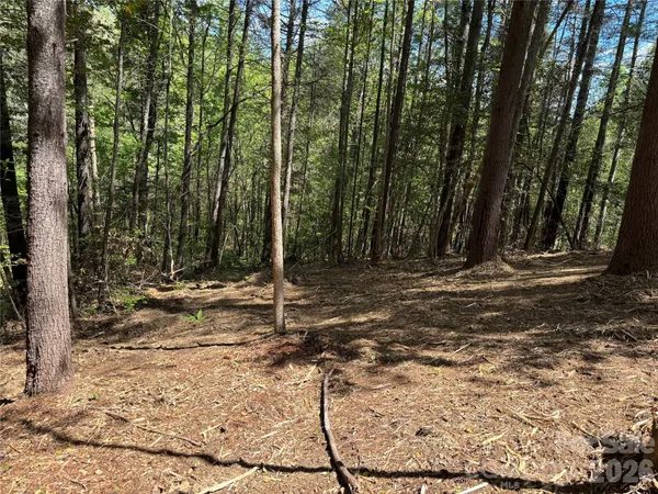 $42,500 | 1665 Round Mountain Parkway, Unit 69, Lenoir, NC 28645