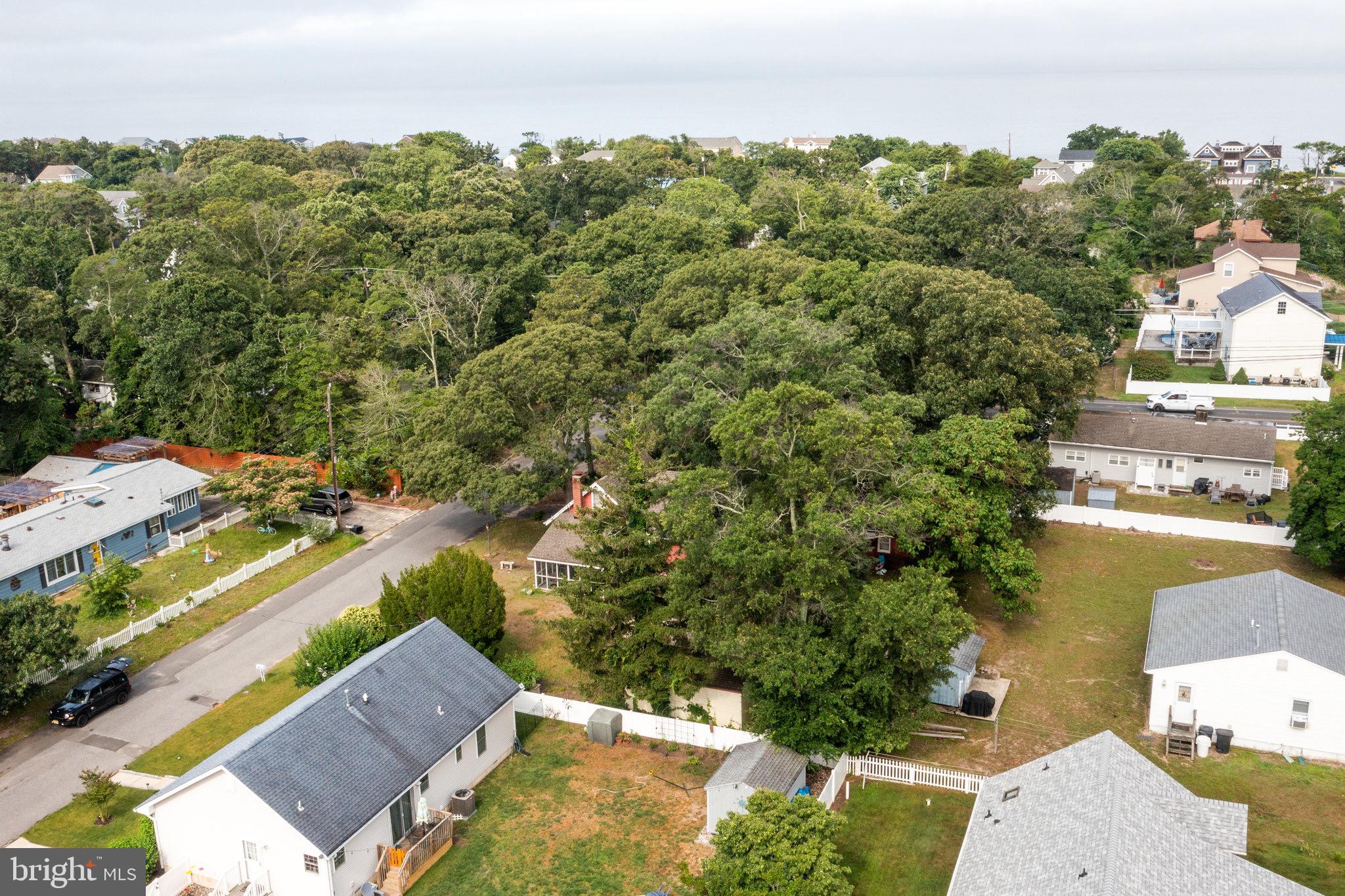 101 Avalon Road Cape May, NJ 08204 - Photo 19 of 25 Gallery Image 19