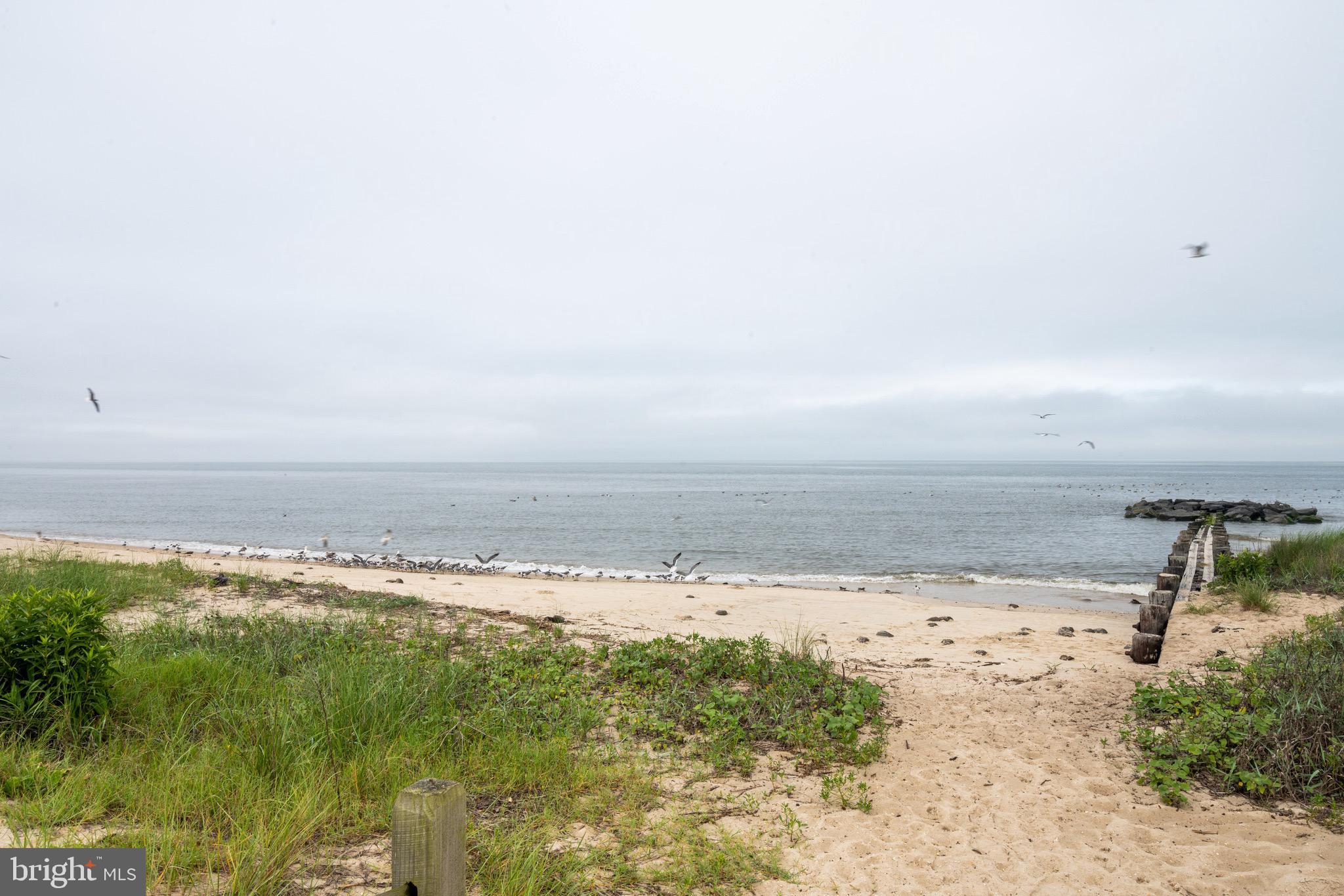 101 Avalon Road Cape May, NJ 08204 - Photo 22 of 25 Gallery Image 22