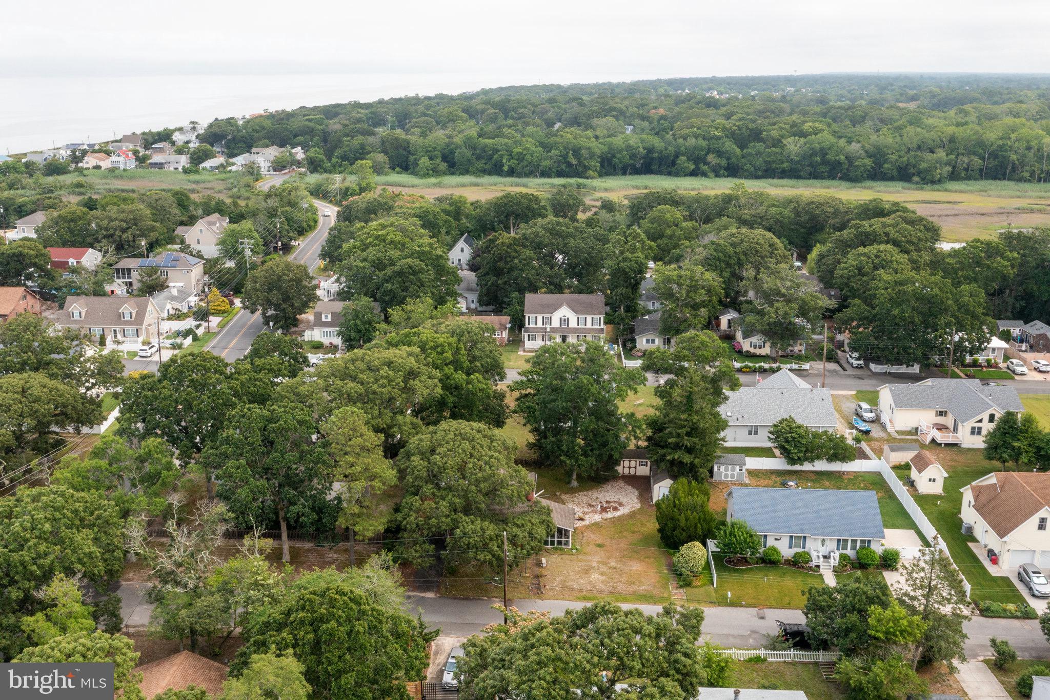 101 Avalon Road Cape May, NJ 08204 - Photo 6 of 25 Gallery Image 6