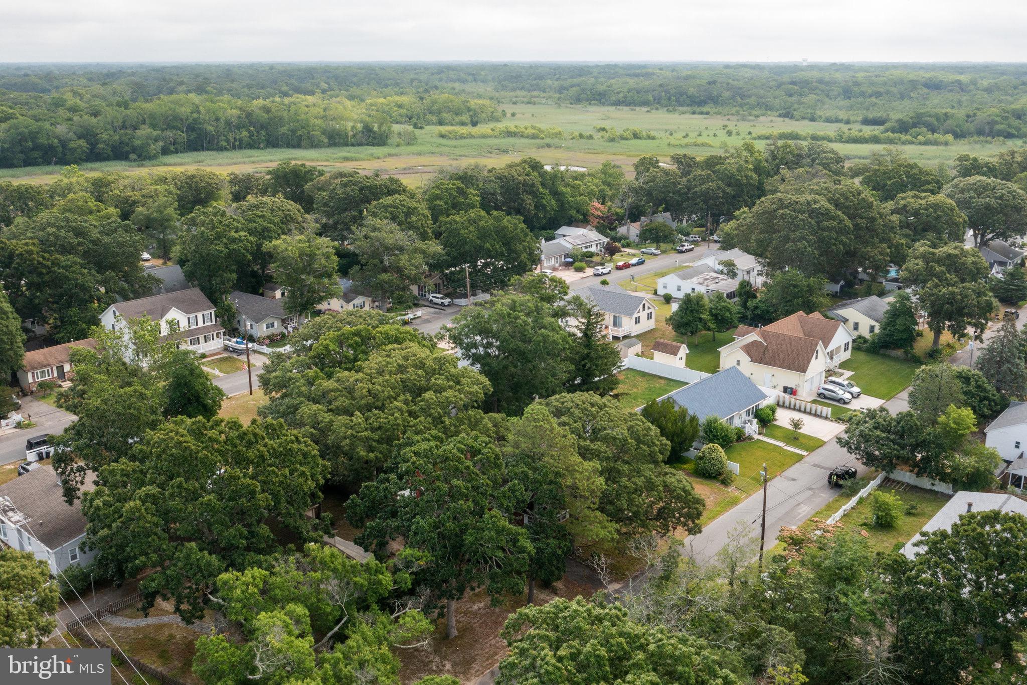 101 Avalon Road Cape May, NJ 08204 - Photo 7 of 25 Gallery Image 7