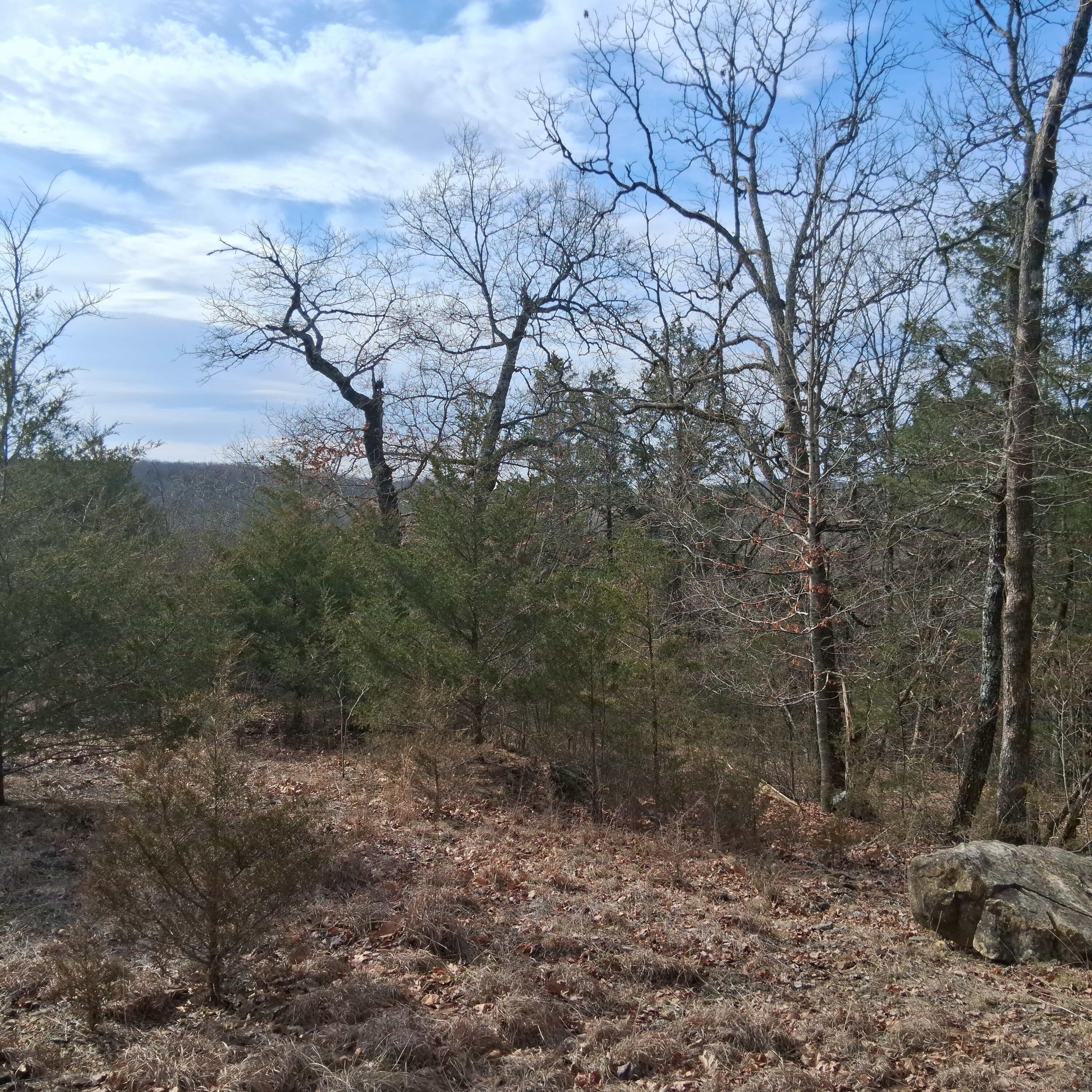 Lot 301 Greers Ferry Road Branson, MO 65616 - Photo 6 of 6 20260306_095349