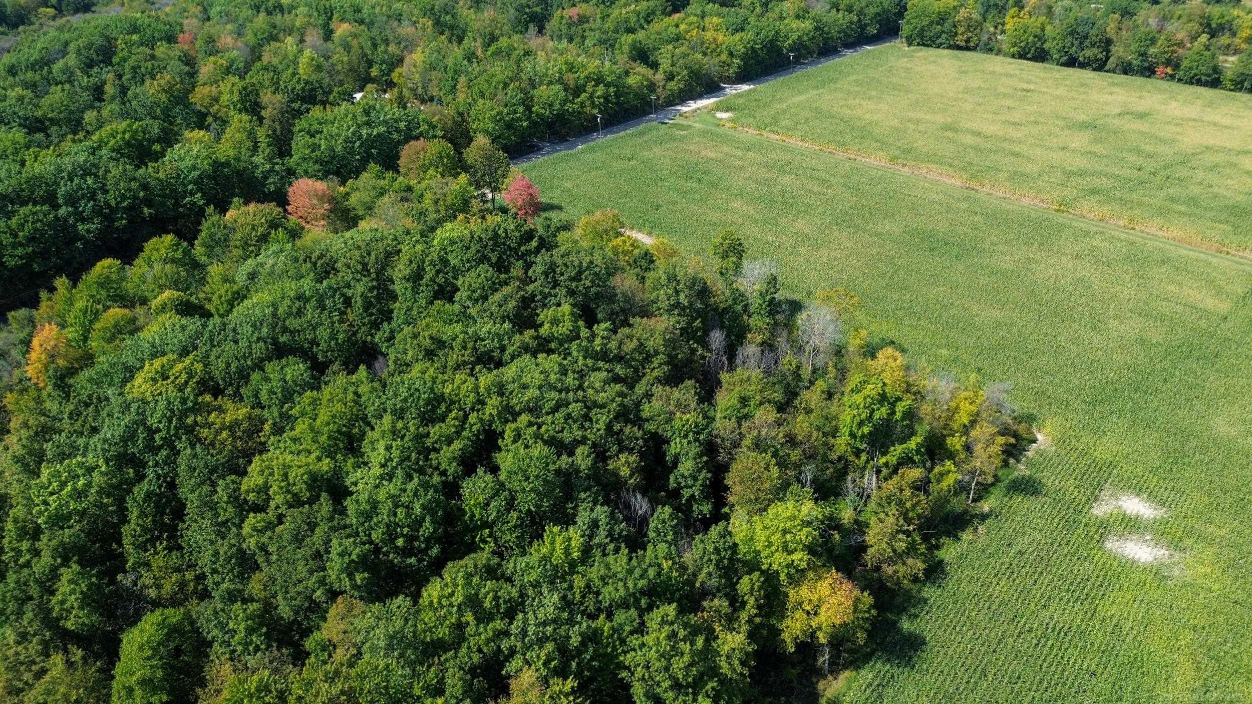 0 Lowe Plank Road Richmond, MI 48062 - Photo 6 of 8