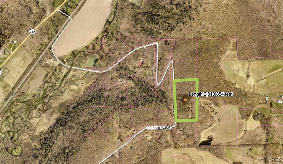 10-11 Creek Ridge Road Ellicottville, NY 14731 - Photo 16 of 16