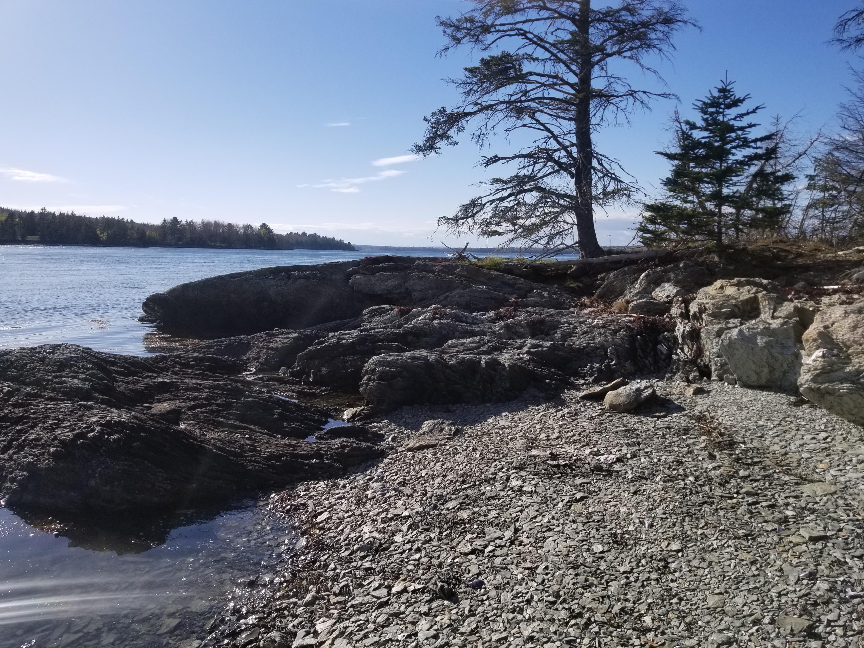 80 Graham Cove Road Hancock, ME 04640 - Photo 2 of 10 View from Lot A looking North down the N